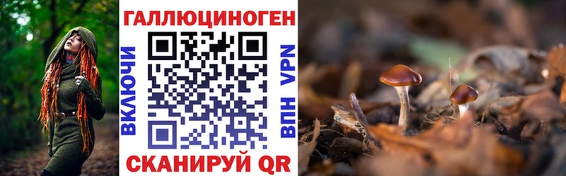 OMG ТОР маркетплейс формула Псилоцибиновые грибы ЛСД где продают наркотики Поронайск